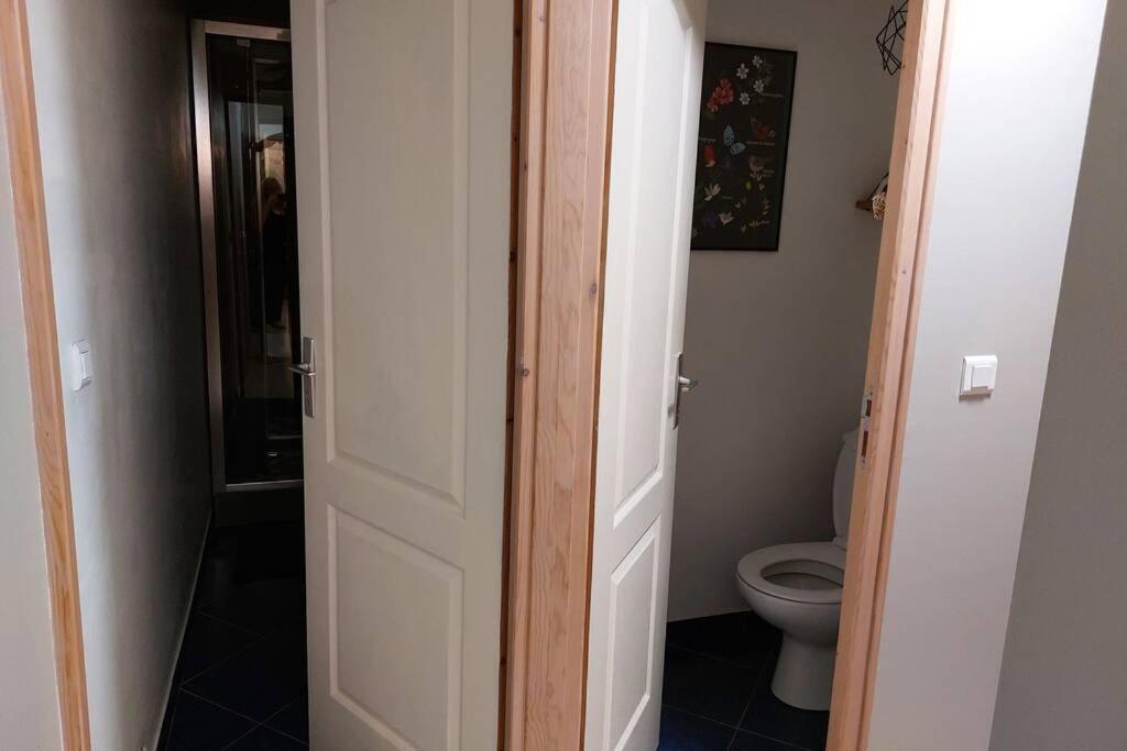 Studio Cosy De 2 A 4 Personnes Au Coeur Du Haut Doubs, Entre Les Lacs, Les Montagnes Et Les Vignobles Appartement Frasne Buitenkant foto