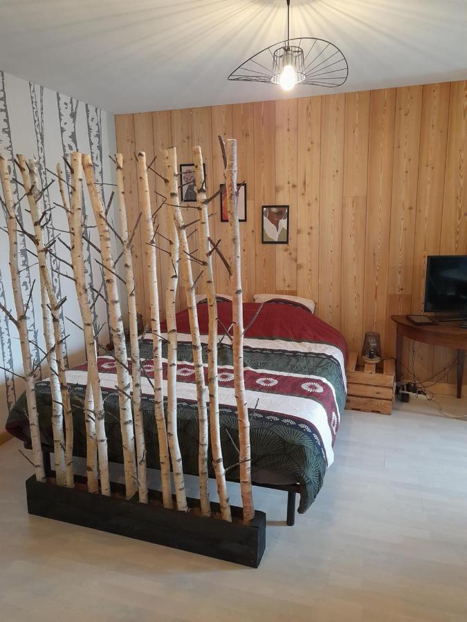 Studio Cosy De 2 A 4 Personnes Au Coeur Du Haut Doubs, Entre Les Lacs, Les Montagnes Et Les Vignobles Appartement Frasne Buitenkant foto